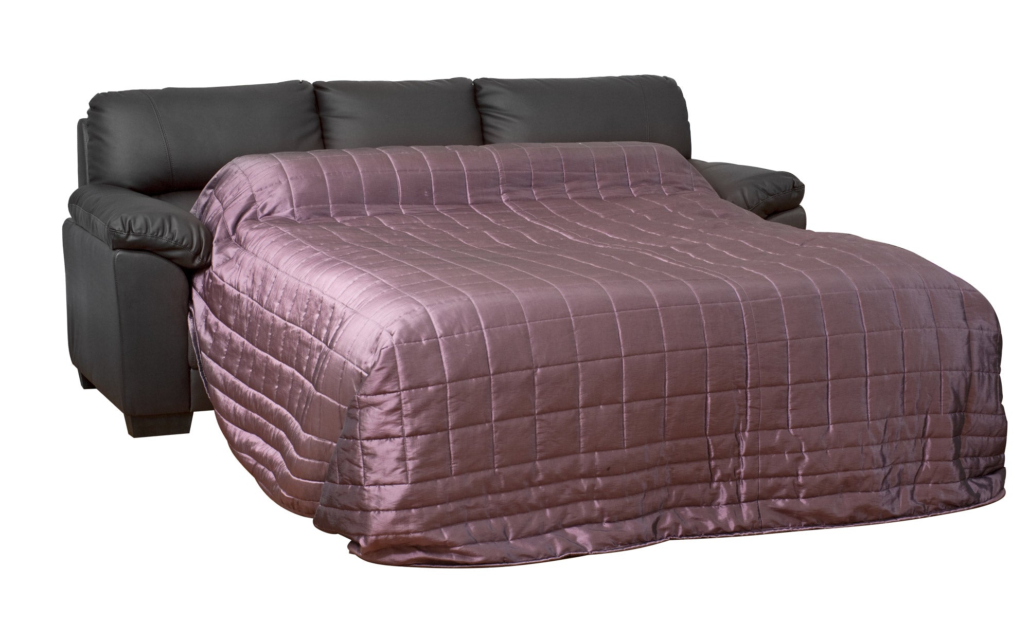 Leather Sofas Bed