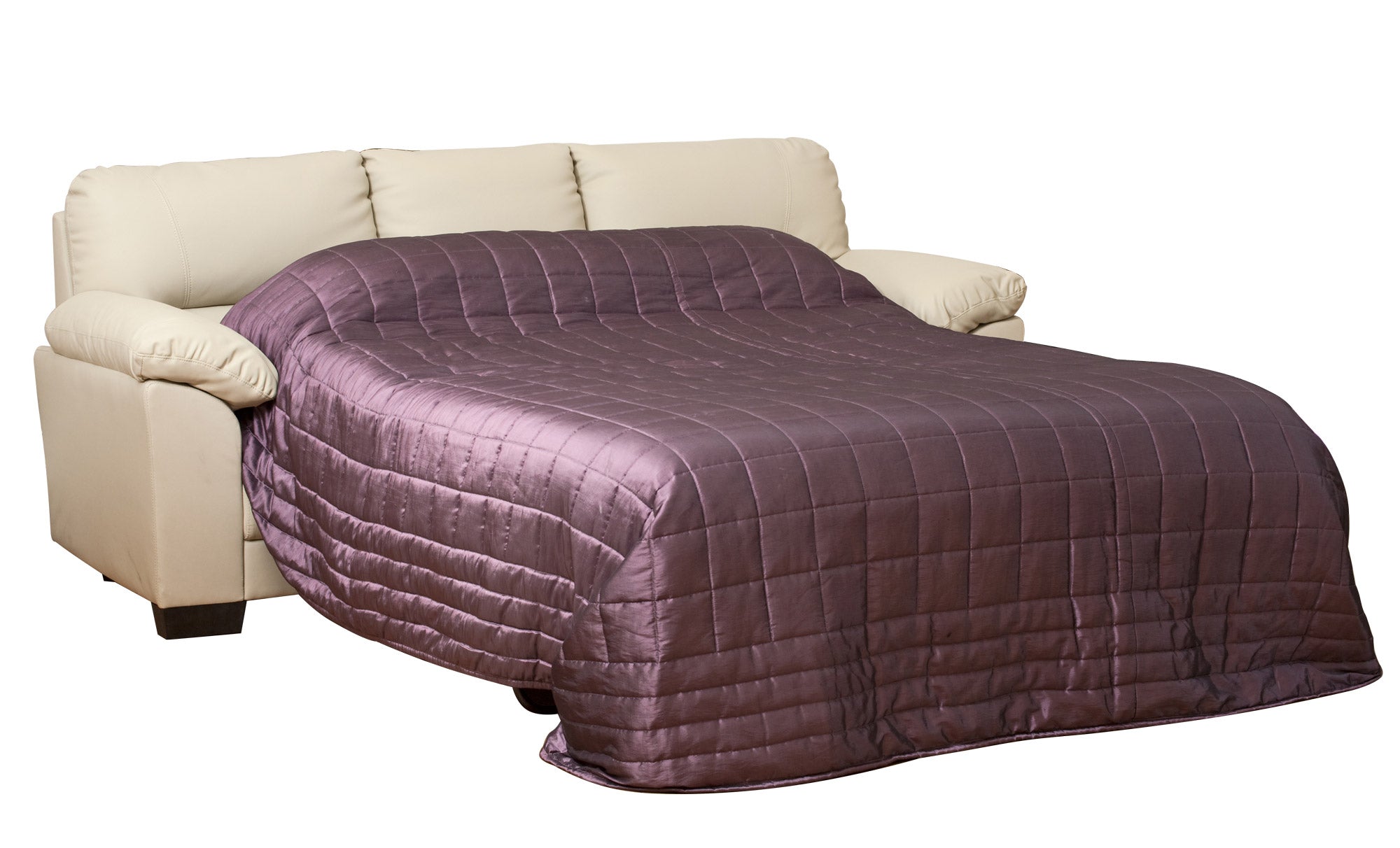 Leather Sofas Bed